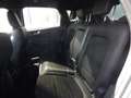 Ford Kuga 2.5 Duratec PHEV ST-LINE X Silber - thumbnail 8