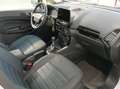 Ford EcoSport 125cv Active-TOP DI GAMMA Bianco - thumbnail 13