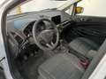 Ford EcoSport 125cv Active-TOP DI GAMMA Blanc - thumbnail 11