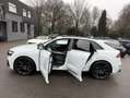 Audi SQ8 4.0TFSI ACC/HUD/Carbon/Wankst/NightVis/23' Blanc - thumbnail 45
