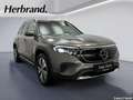Mercedes-Benz EQB 250 Progressive LED Pano DISTRONIC Kamera Grau - thumbnail 2