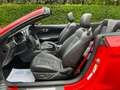 Ford Mustang Mustang Convertible 2.3 EcoBoost  ### 79000 km ### Rouge - thumbnail 14
