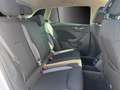 Skoda Scala Drive 1,0 TSI 85 kW DSG Weiß - thumbnail 11