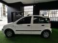 Fiat Panda Panda II 2003 1.2 Emotion ECO NEOPATENTATI Blanc - thumbnail 2