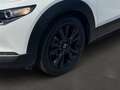 Mazda CX-30 Homura 2.0L e-SKYACTIV X 186  *Navi* *el. Heckklap Blanco - thumbnail 8