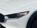 Mazda CX-30 Homura 2.0L e-SKYACTIV X 186  *Navi* *el. Heckklap Blanco - thumbnail 7
