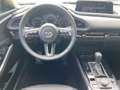 Mazda CX-30 Homura 2.0L e-SKYACTIV X 186  *Navi* *el. Heckklap Blanco - thumbnail 12