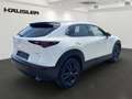 Mazda CX-30 Homura 2.0L e-SKYACTIV X 186  *Navi* *el. Heckklap Blanco - thumbnail 4