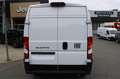 Fiat Ducato Ducato 30 L2H2 120 Klima Park  Boden Netto EUR2... Wit - thumbnail 7