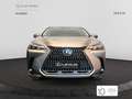 Lexus NX 450h+ Premium+ 4WD Grau - thumbnail 1