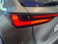 Lexus NX 450h+ Premium+ 4WD Grau - thumbnail 27