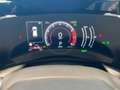 Lexus NX 450h+ Premium+ 4WD Grau - thumbnail 16