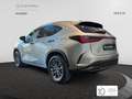 Lexus NX 450h+ Premium+ 4WD Grau - thumbnail 3