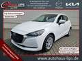 Mazda 2 SkyActiv-G 75 Center-Line | LED | Klimaanlage | Weiß - thumbnail 1