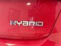 Fiat Tipo 5 PORTE E SW Hatchback My22 1.5 Hybrid130cv Dct H crvena - thumbnail 10