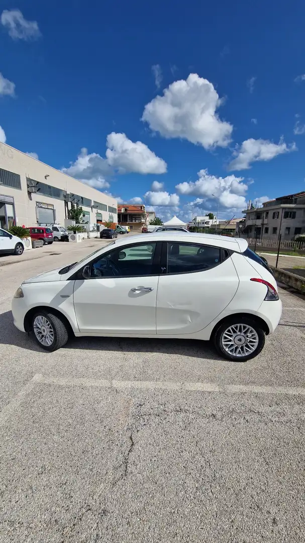 Lancia Ypsilon 1.3 mjt Elefantino s&s 95cv E5+ - 2