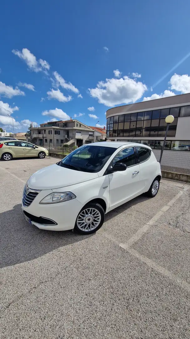 Lancia Ypsilon 1.3 mjt Elefantino s&s 95cv E5+ - 1