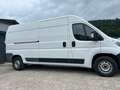 Citroen Jumper 2.2 Bhdi 140PS L3H2 Klima (Bott Einrichtung) RFK Weiß - thumbnail 8