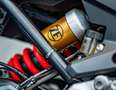 BMW F 900 XR 0 Rosso - thumbnail 11