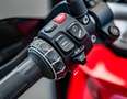 BMW F 900 XR 0 Rosso - thumbnail 7