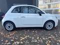 Fiat 500 MY23 1.0 Last Edition Tech & Komfortpaket Blanc - thumbnail 6