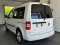 Volkswagen Caddy Kombi 2.0 TDI Highline-STHZ-GSD-Navi-PDC- Weiß - thumbnail 4