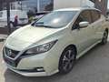 Nissan Leaf 40 kWh Tekna (EU6.2) Gris - thumbnail 1