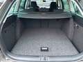 Skoda Octavia 1,2l Best of*3.HAND*KLIMA*AHK*HU NEU* Beige - thumbnail 9