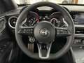 Alfa Romeo Stelvio 2.2 TD 210 CV VELOCE Q4 IMMATR. 29/12/2021 RUOTINO Schwarz - thumbnail 9