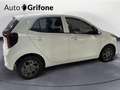 Kia Picanto Picanto 1.0 12V 5 porte 20th Anniversary Edition Bianco - thumbnail 6