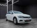 Volkswagen Polo Comfortline TSI SHZ PDC DAB+ WeConnect Klima Weiß - thumbnail 9