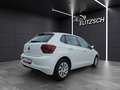 Volkswagen Polo Comfortline TSI SHZ PDC DAB+ WeConnect Klima Weiß - thumbnail 7