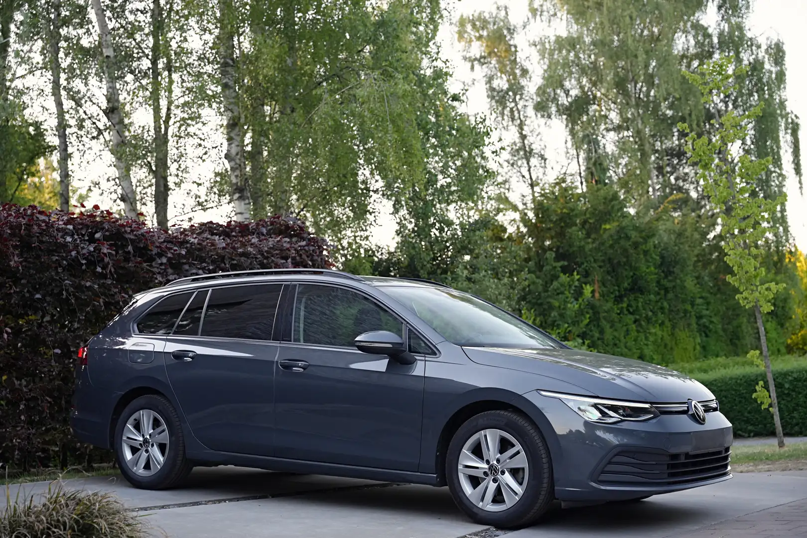 Volkswagen Golf Variant 1.5 TSI Life VirtualDash/Carplay/Ambient Light/ACC Gris - 2