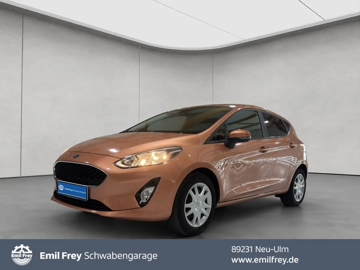 Ford Fiesta 1.0 EcoBoost S&S COOL&CONNECT*PDC* Braun - 1