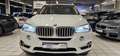BMW X5 xDrive 40 d Standhzg.HUD Panorama SoftClose Weiß - thumbnail 3