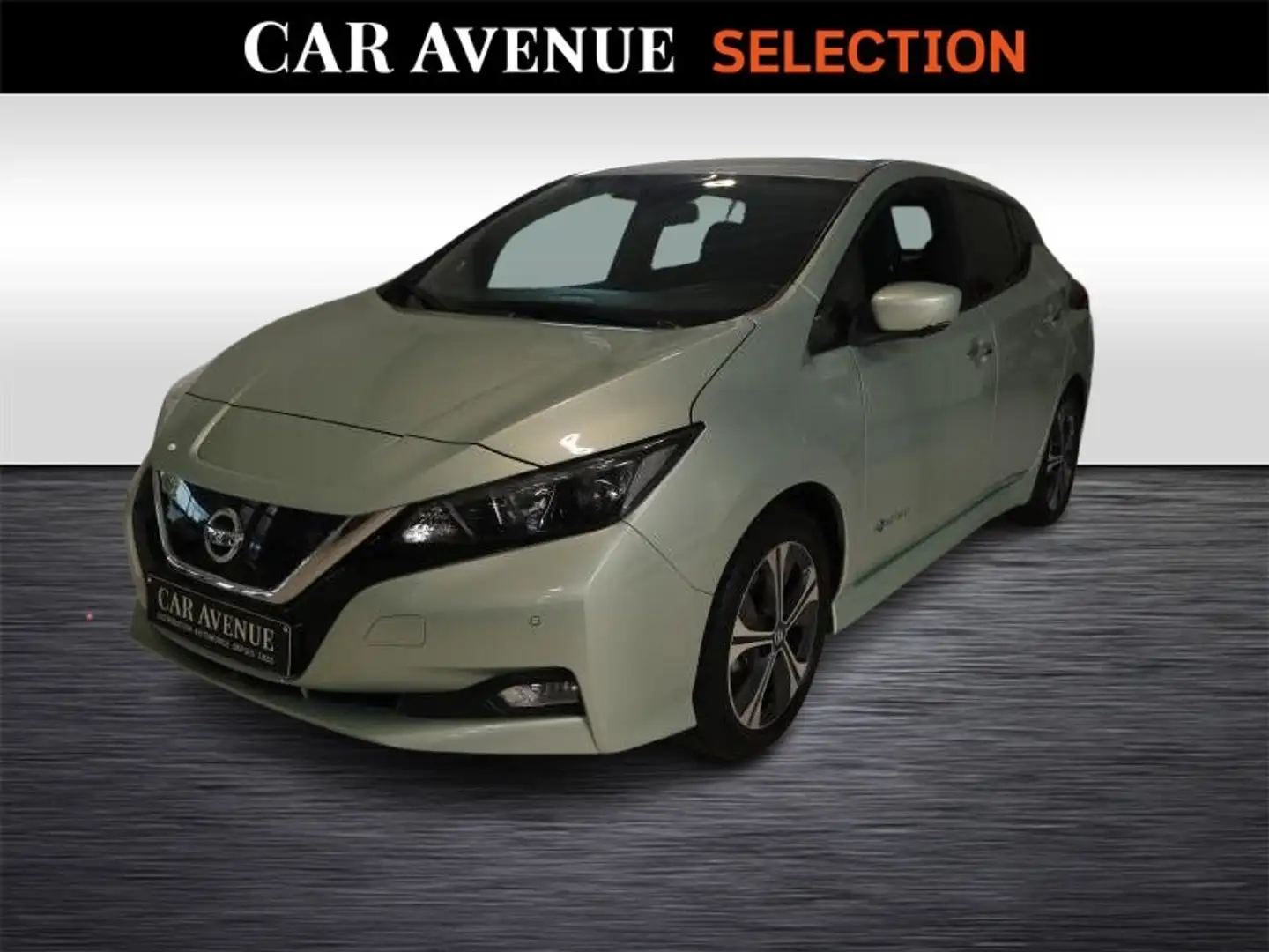 Nissan Leaf Premier Edition 40 kW/h zelena - 1