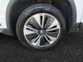 Skoda Karoq Executive 1,5 TSI 110 kW (150 CV) 6 marce - manua Bianco - thumbnail 11