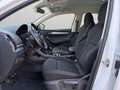 Skoda Karoq Executive 1,5 TSI 110 kW (150 CV) 6 marce - manua Bianco - thumbnail 6