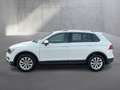 Volkswagen Tiguan Comfortline TSI Weiß - thumbnail 2
