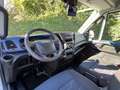 Iveco Daily 35S14 L4H2  74000 KM  LONG CHASSIS  AUTO Blanc - thumbnail 10