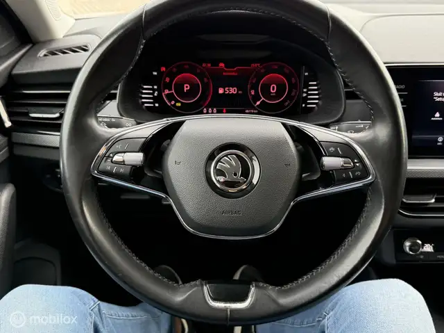 Skoda Kamiq view 12