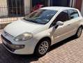 Fiat Punto Evo Punto Evo 5p 1.3 mjt Fun s Bianco - thumbnail 14