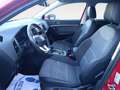 SEAT Ateca 2.0TDI CR S&S X-Perience XM DSG 150 Rojo - thumbnail 8