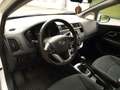 Kia Rio 1.1 Crdi Bianco - thumbnail 12