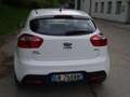 Kia Rio 1.1 Crdi Bianco - thumbnail 8