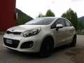 Kia Rio 1.1 Crdi Bianco - thumbnail 7