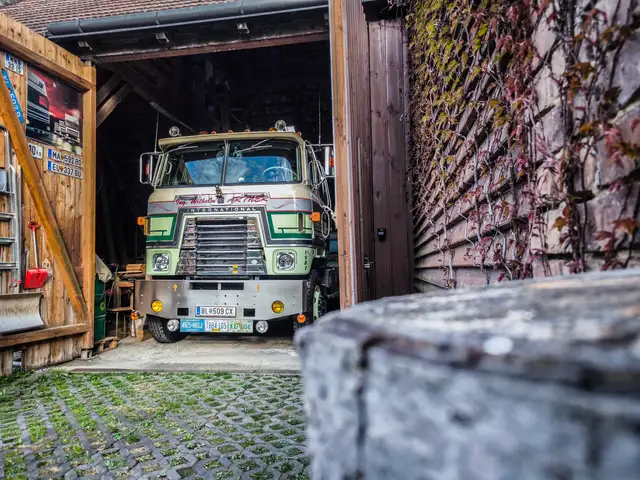 Sonstige Marken International Harvester COF-4070B Transtar II Ansicht 49