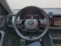 Skoda Kodiaq 2.0TDI 4x4 DSG Tour LED AHK STHZ Navi Rear View AC Grau - thumbnail 11