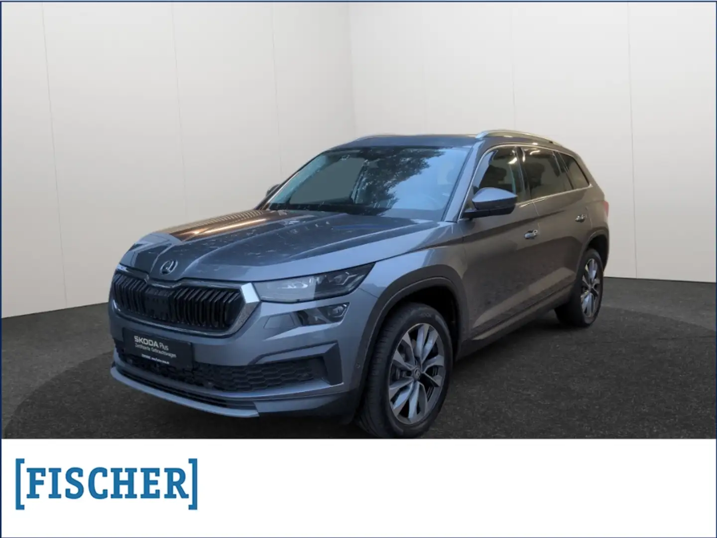 Skoda Kodiaq 2.0TDI 4x4 DSG Tour LED AHK STHZ Navi Rear View AC Grau - 1