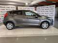 Ford Fiesta Titanium E6 5 Porte 1.4 95cv GPL rif.FK791 Grigio - thumbnail 2
